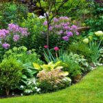 Jardin : comment choisir vos plantes vivaces ?